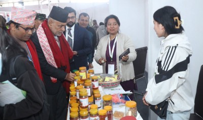  भृकुटीमण्डपमा कृषिसम्बन्धी मेला [तस्बिरसहित] 
